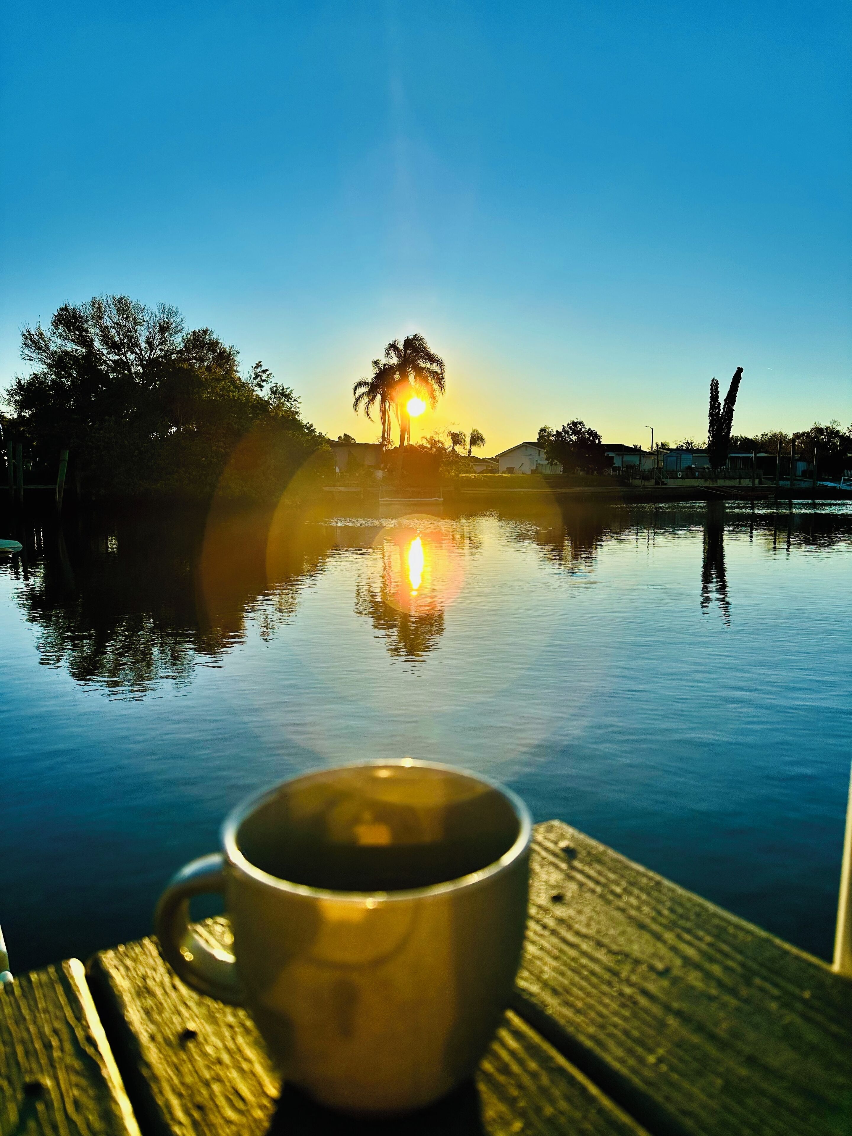 施設からの眺望
