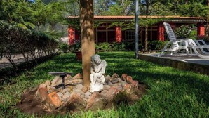 Um jardim com uma estátua, uma árvore e um edifício com paredes de tijolos vermelhos e telhado telhado.