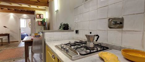 Apartment | Private kitchenette | Full-sized fridge, microwave, stovetop, dishwasher