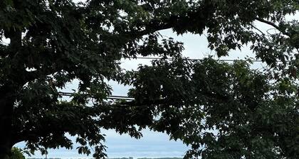 Charming 2-bedroom cottage in marvelous Cheboygan with WiFi, AC