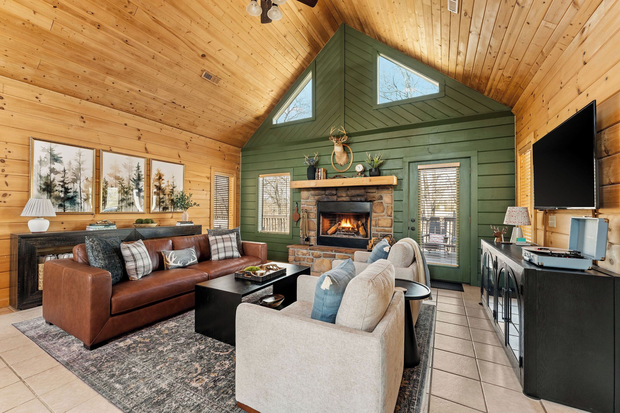 Smart TV, fireplace, video games, books