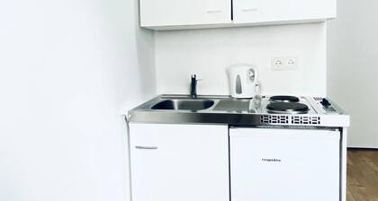Affordable 1BR Apartment. Prime Location In Vienna