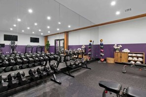 A gym with weightlifting equipment, a mirror, and a television on the wall. - Lux 4BD 4BA Suite 2 Sleeper Sofas Own Terrace Hotel (New Orleans)