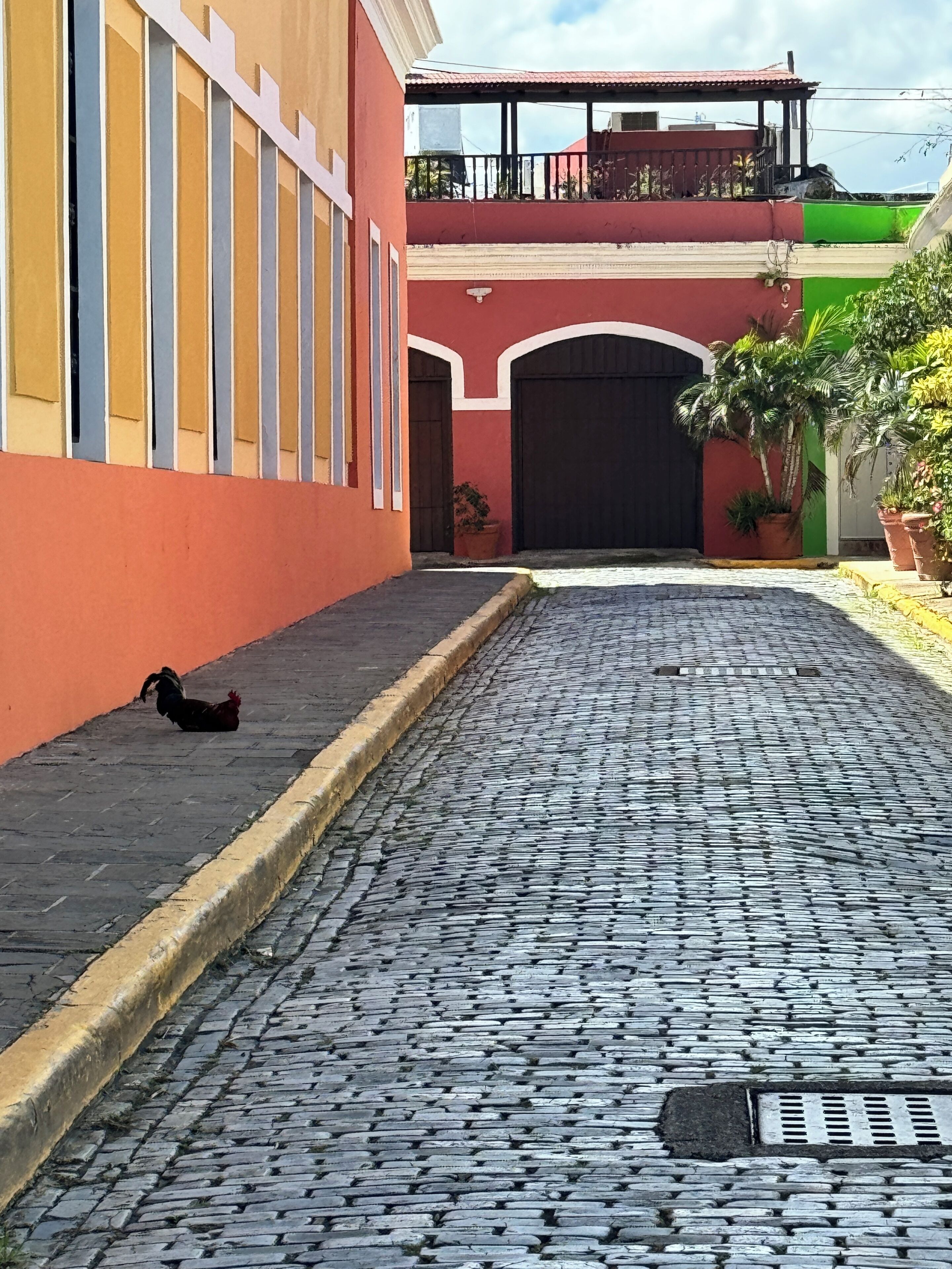Photo - Trotamundos