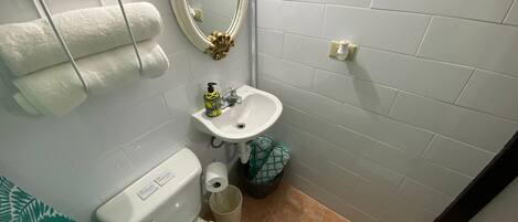 Baño con inodoro, lavamanos y espejo. Hay toallas y un cesto de basura.