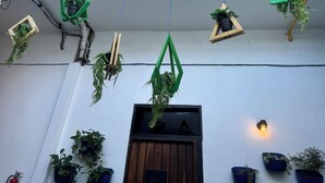 Een gevel met meerdere hangende bloembakken en een houten deur.