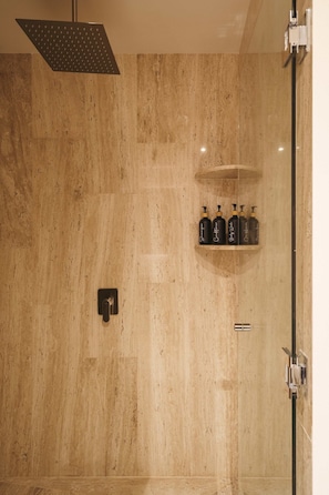 Shower, hair dryer, towels, shampoo