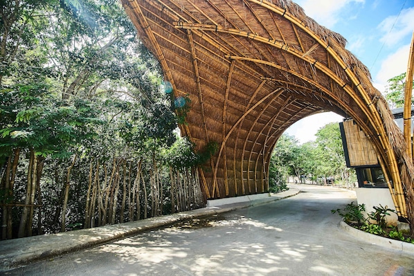 Une arche en bambou qui mène à un sentier bordé d’arbres.