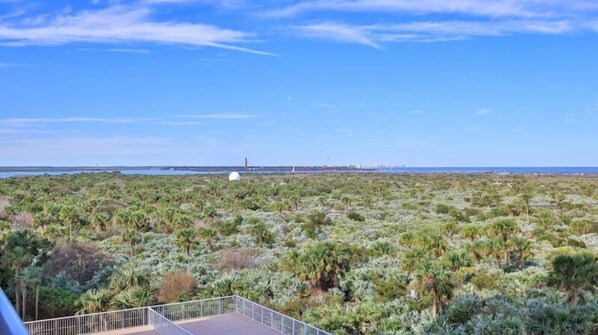 A coastal landscape with dense vegetation and a distant view of a lighthouse and city skyline.