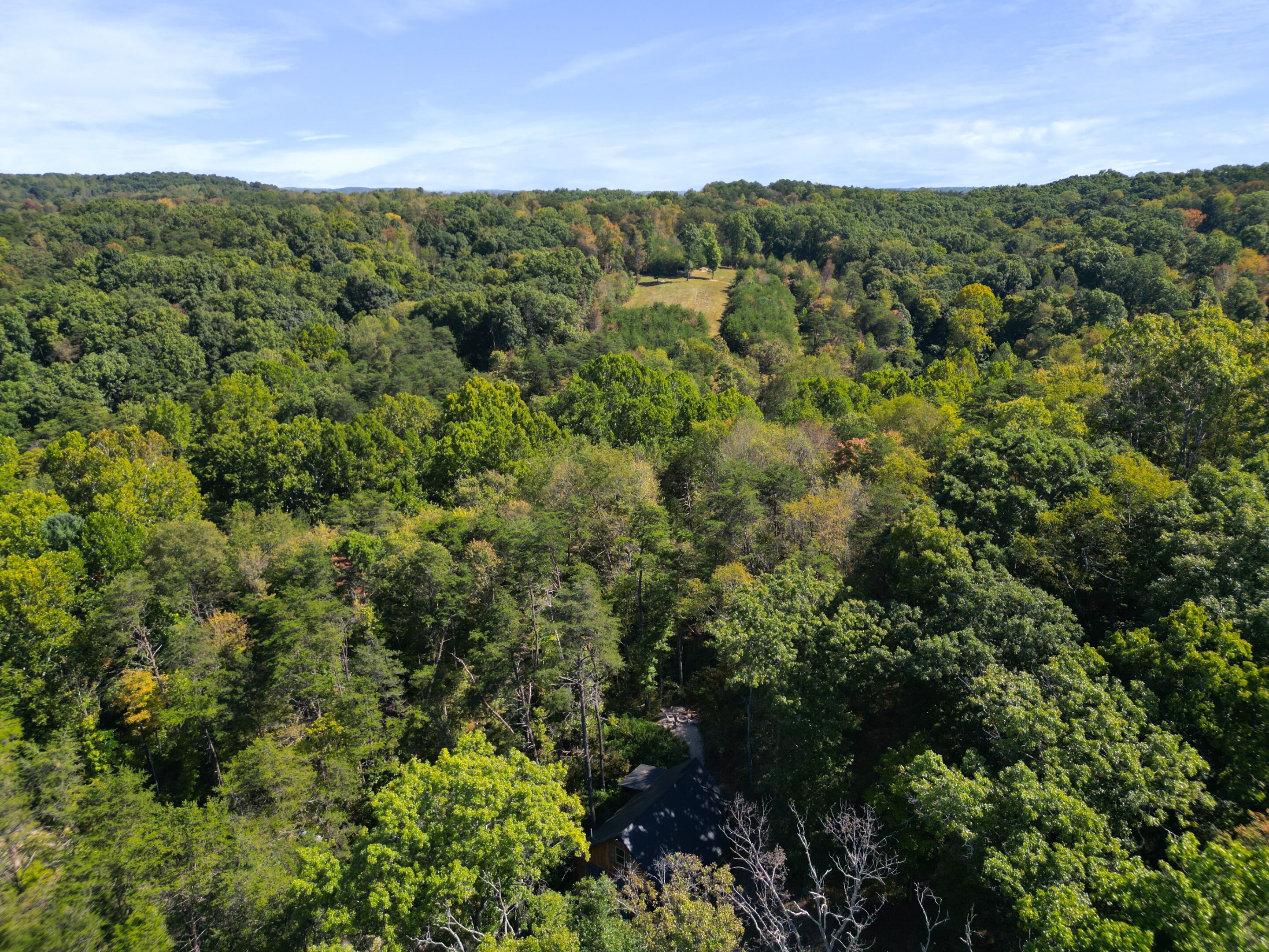 A forested landscape with a clear sky.