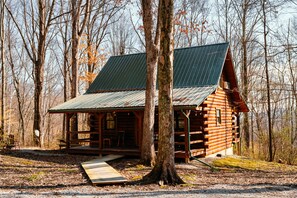 A log cabin with a metal roof, surrounded by trees.