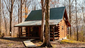 Une cabane en rondins surmontée d’un toit en métal, entourée d’arbres.