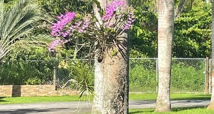 Hacienda Bello Sitio