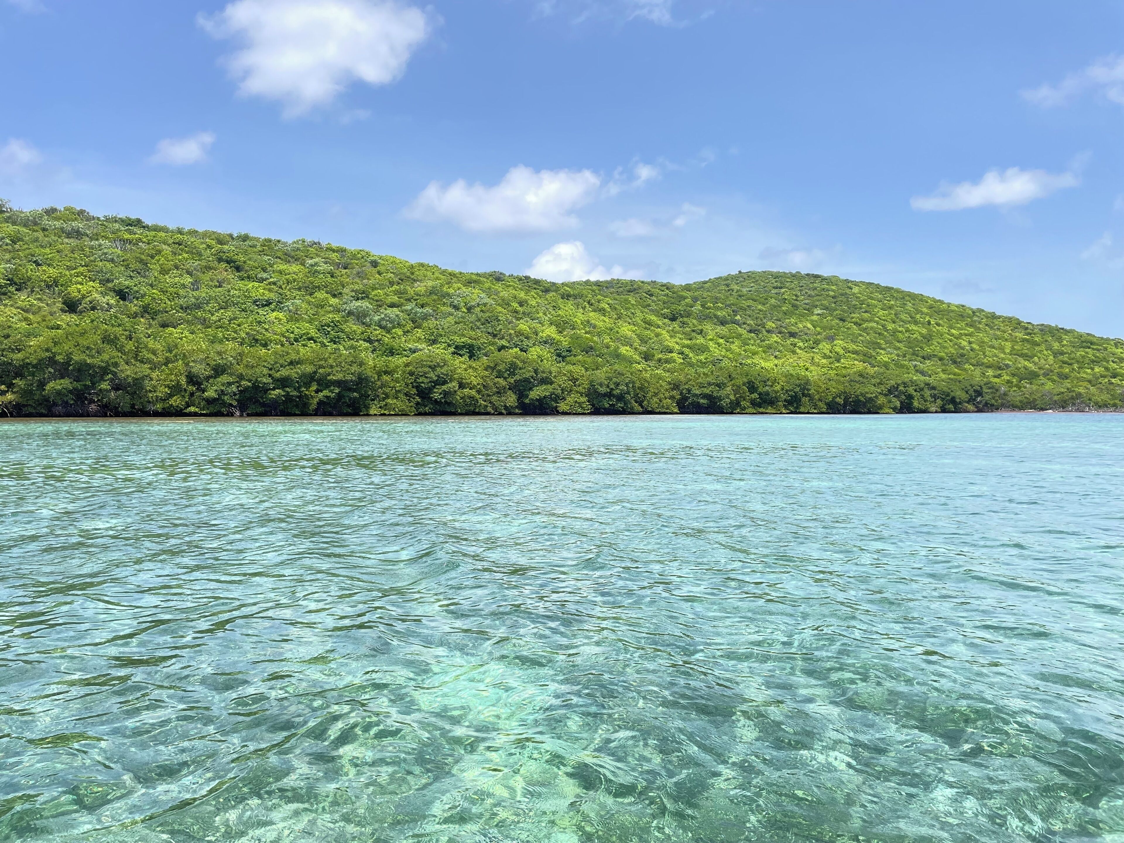 Ein klarer Blick auf einen tropischen Strand mit türkisblauem Wasser und dichtem, grünen Grünland an den Hügeln.