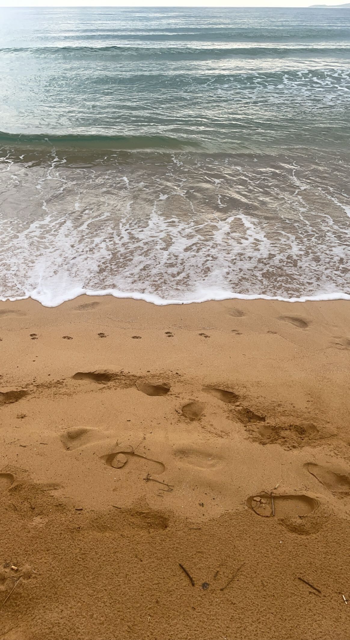 A sandy beach with footprints and the ocean in the background.