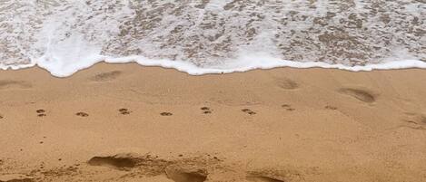 A sandy beach with footprints and the ocean in the background.