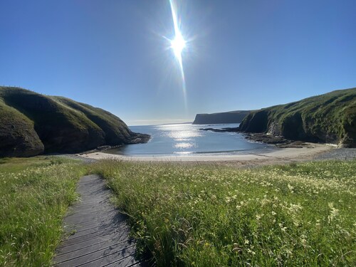 Secluded Cabin on the Banffshire Coast