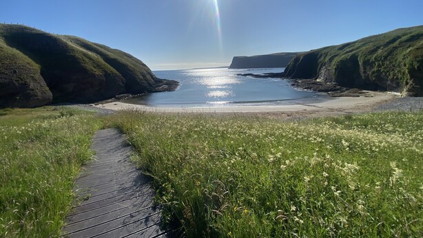 A coastal pathway leading to a beach with grassy areas and cliffs. - Secluded Cabin on the Banffshire Coast (Crovie)