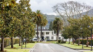 A residential street with a large white house, palm trees, and a hilly background. - Serene 1 BR Condo at Silverado Resort (Napa)