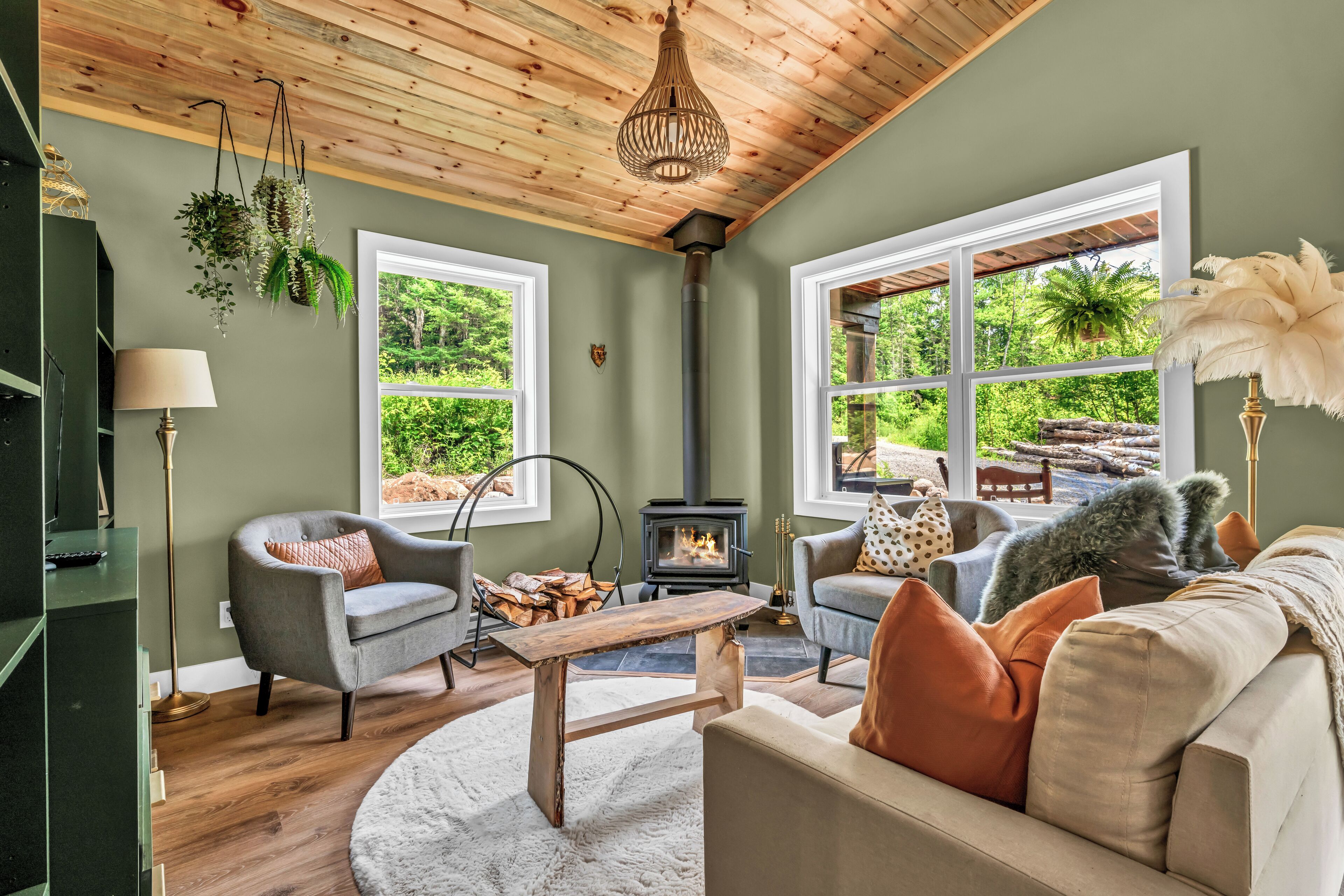 Cheminée, lecteur de DVD, livres