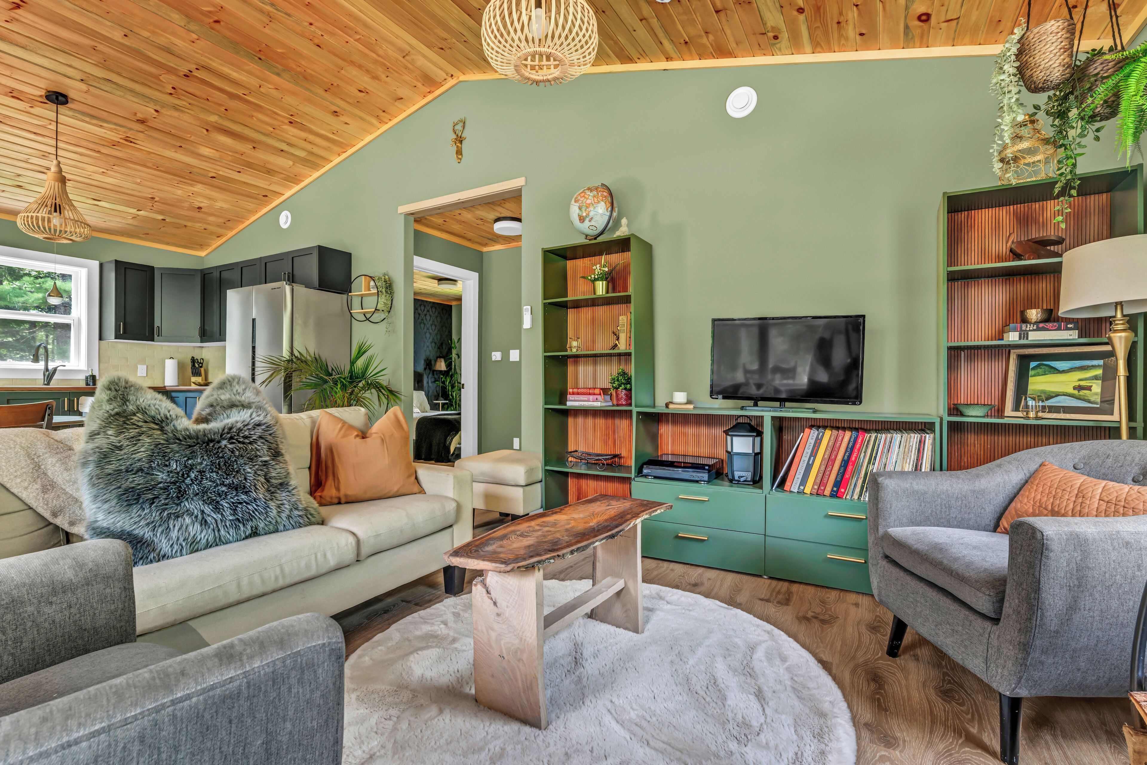 Fireplace, DVD player, books