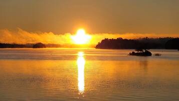 Shower, towels, toilet paper