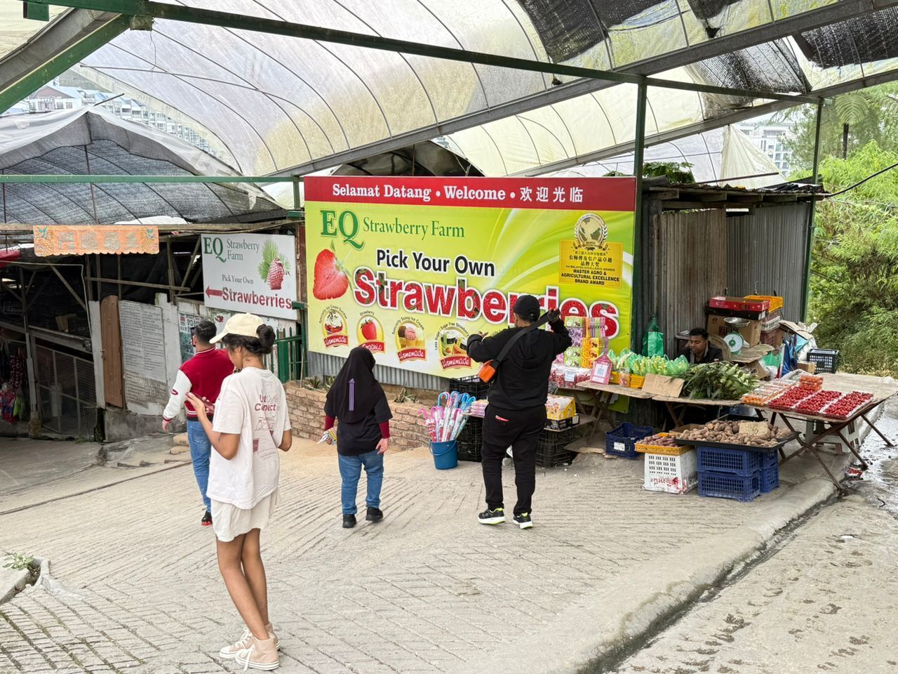 Un puesto de mercado con un letrero que anuncia 'EQ Strawberry Farm' y 'Recoge tus propias fresas'.