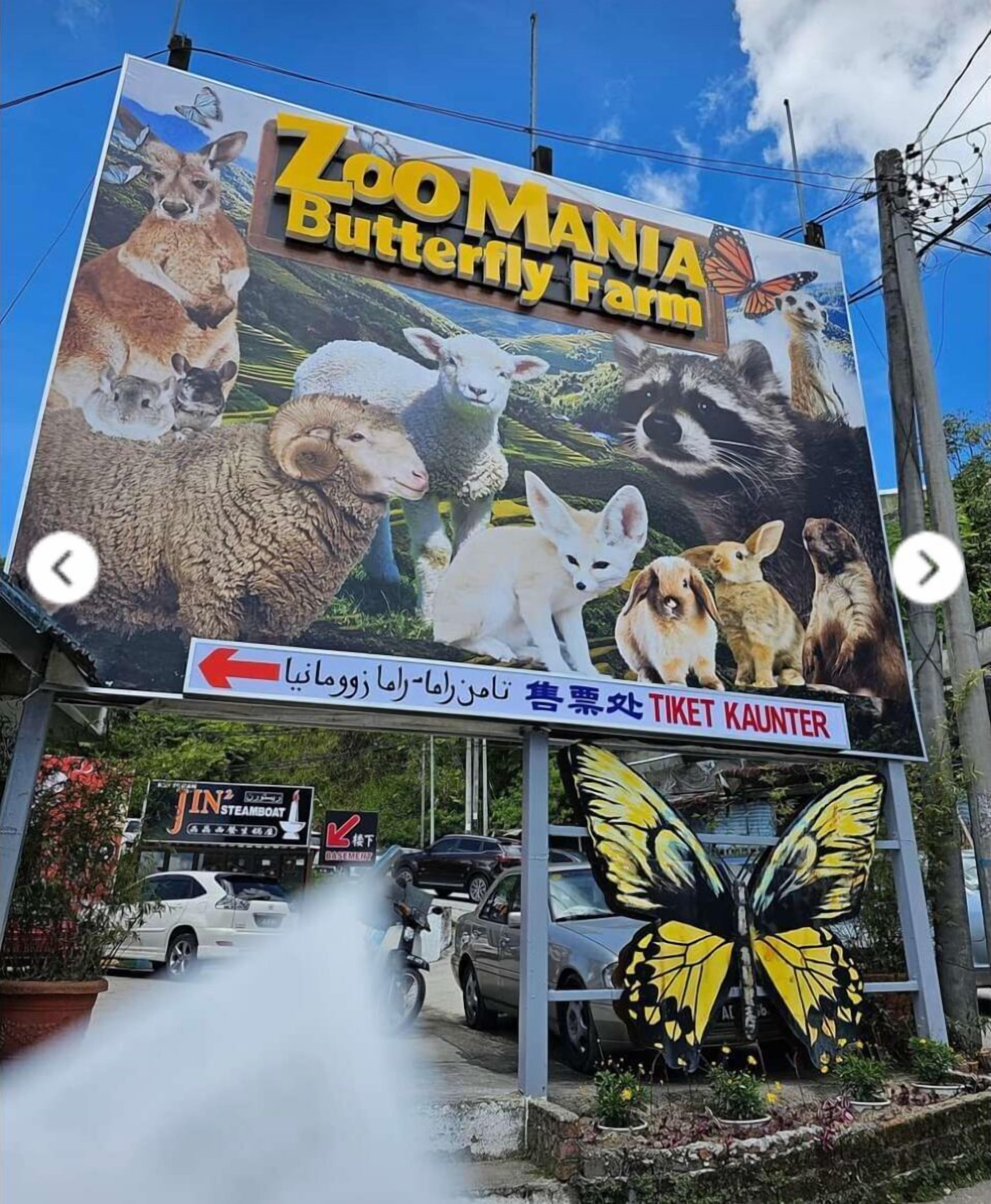 A billboard for Zoo Mania Butterfly Farm with various animals and a butterfly.
