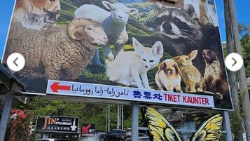 A billboard for Zoo Mania Butterfly Farm with various animals and a butterfly.