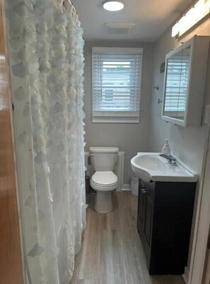 Regadera, secadora de cabello, toallas, jabón 