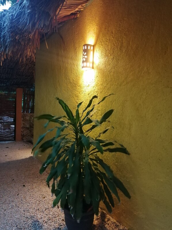 Una pianta in vaso davanti a un muro con superficie strutturata e un punto luce a parete.