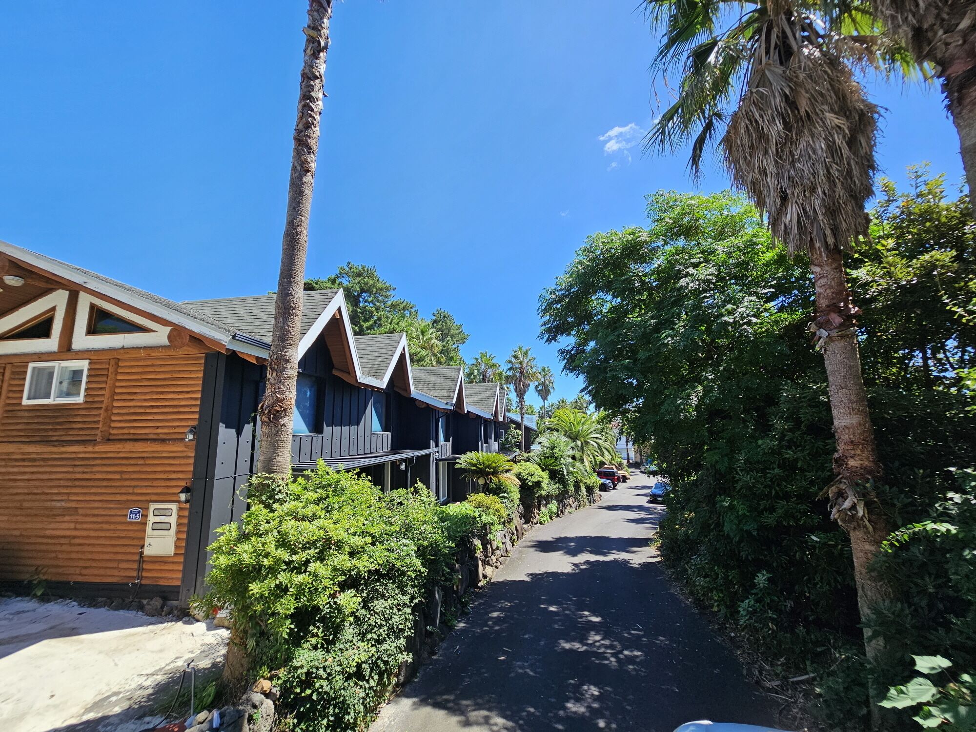Une rue étroite bordée de bâtiments en bois, de palmiers et d’une végétation luxuriante.