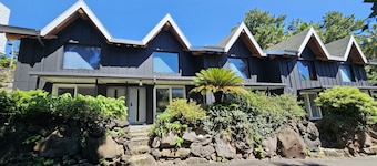 Tree Story Pension