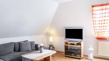 Fernseher, Stereoanlage