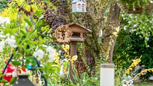 Une nichée à oiseaux accrochée à un arbre, entourée de verdure et de fleurs.