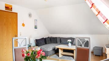 Fernseher, Stereoanlage