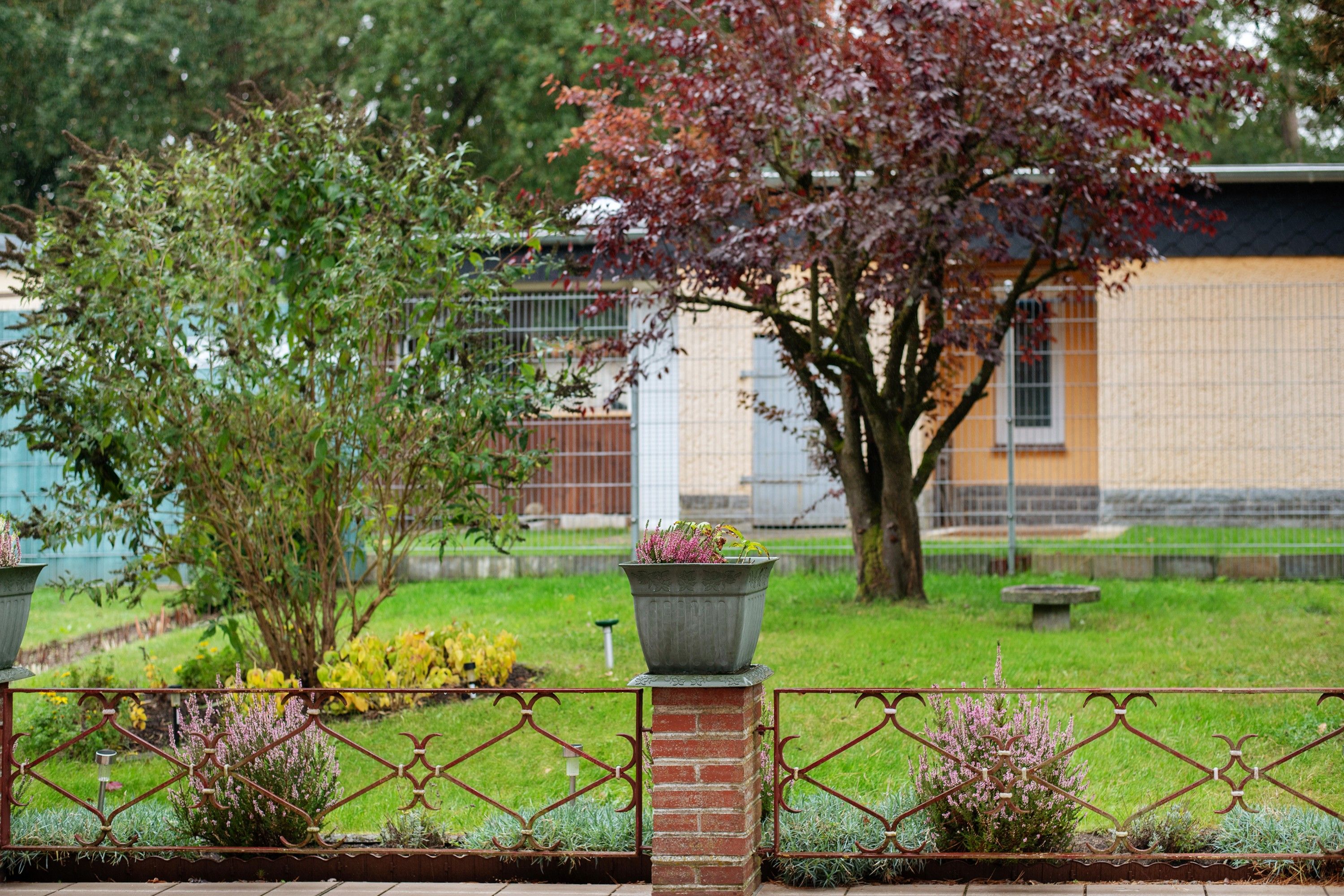 Un jardin avec un mur de briques, une clôture en métal et un arbre aux feuilles rouges.