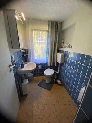 Ducha, secador de pelo, toallas