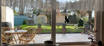 Apartment 'Familie Eggert' with Private Terrace, Private Garden and Wi-Fi