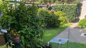 Ein Garten mit Teich, verschiedenen Pflanzen und einem Vogelhaus.