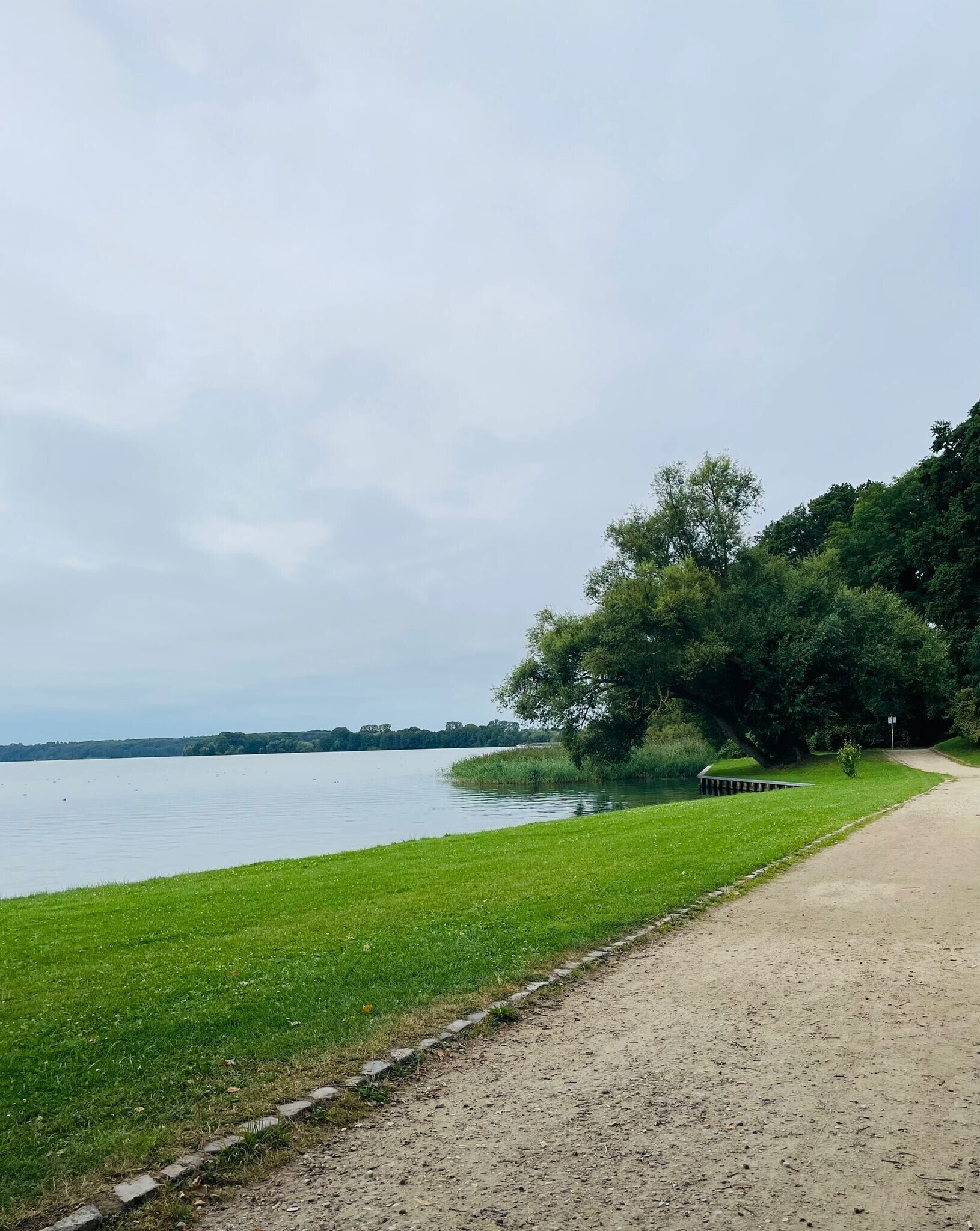 Un sendero junto a un lago, con césped y árboles.