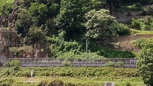 Un castillo en un acantilado rodeado de abundante vegetación.