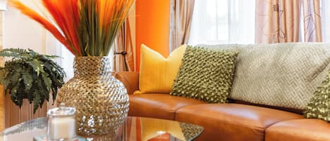 TV connectée, cheminée, livres