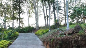 A paved pathway flanked by dense greenery and trees, leading towards a distant structure. - NEWLY LISTED: Secluded Tree House Hideaway 2-bedroom duplex in Honolulu! (Millilani)