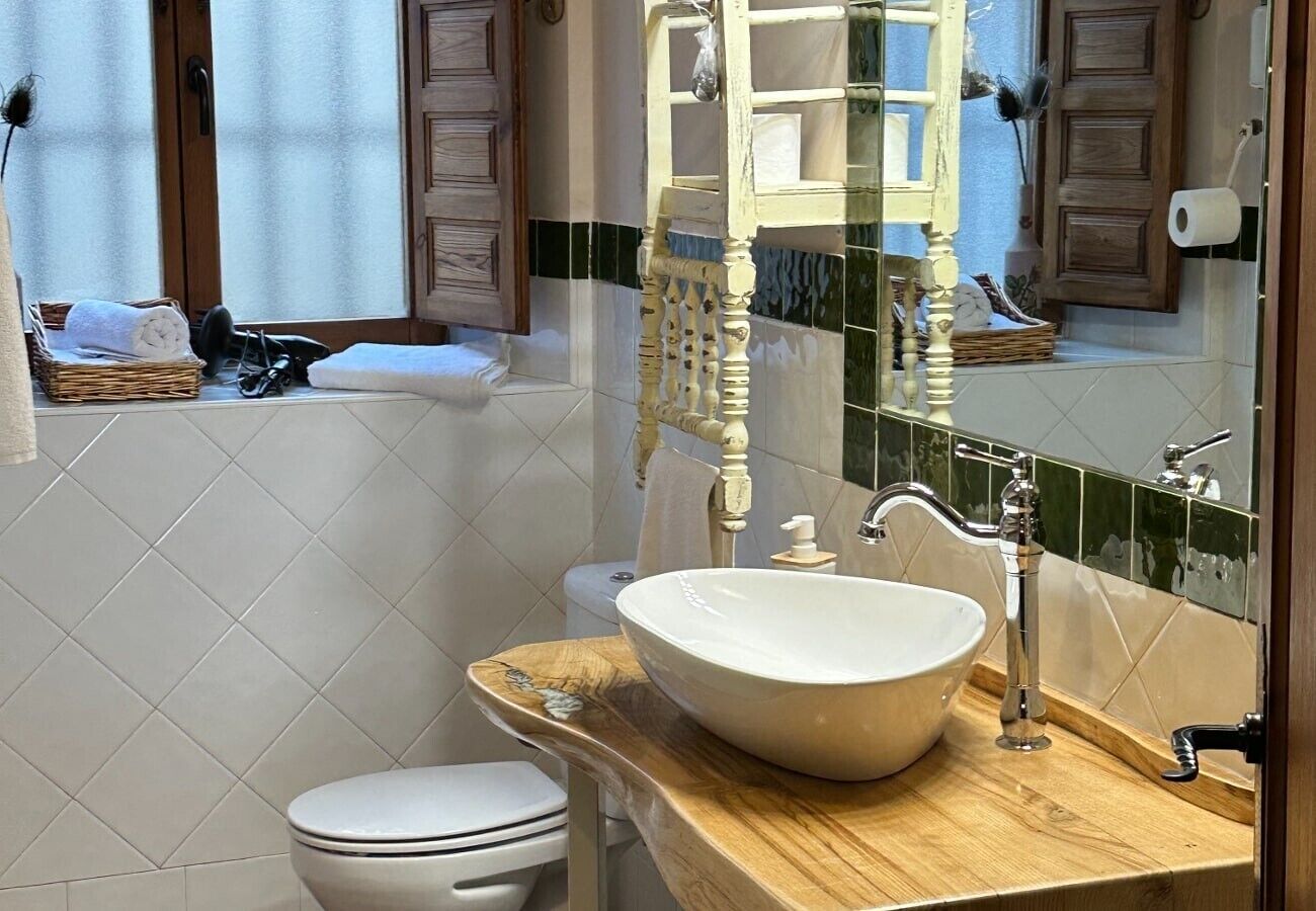 Ducha, secador de pelo y toallas