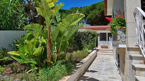 A stone pathway leading to a building with a tiled roof, surrounded by lush greenery and a clear blue sky.