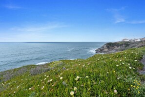 Un paysage côtier avec un premier plan herbeux, une falaise rocheuse et un ciel bleu dégagé.