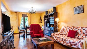 TV, fireplace, DVD player