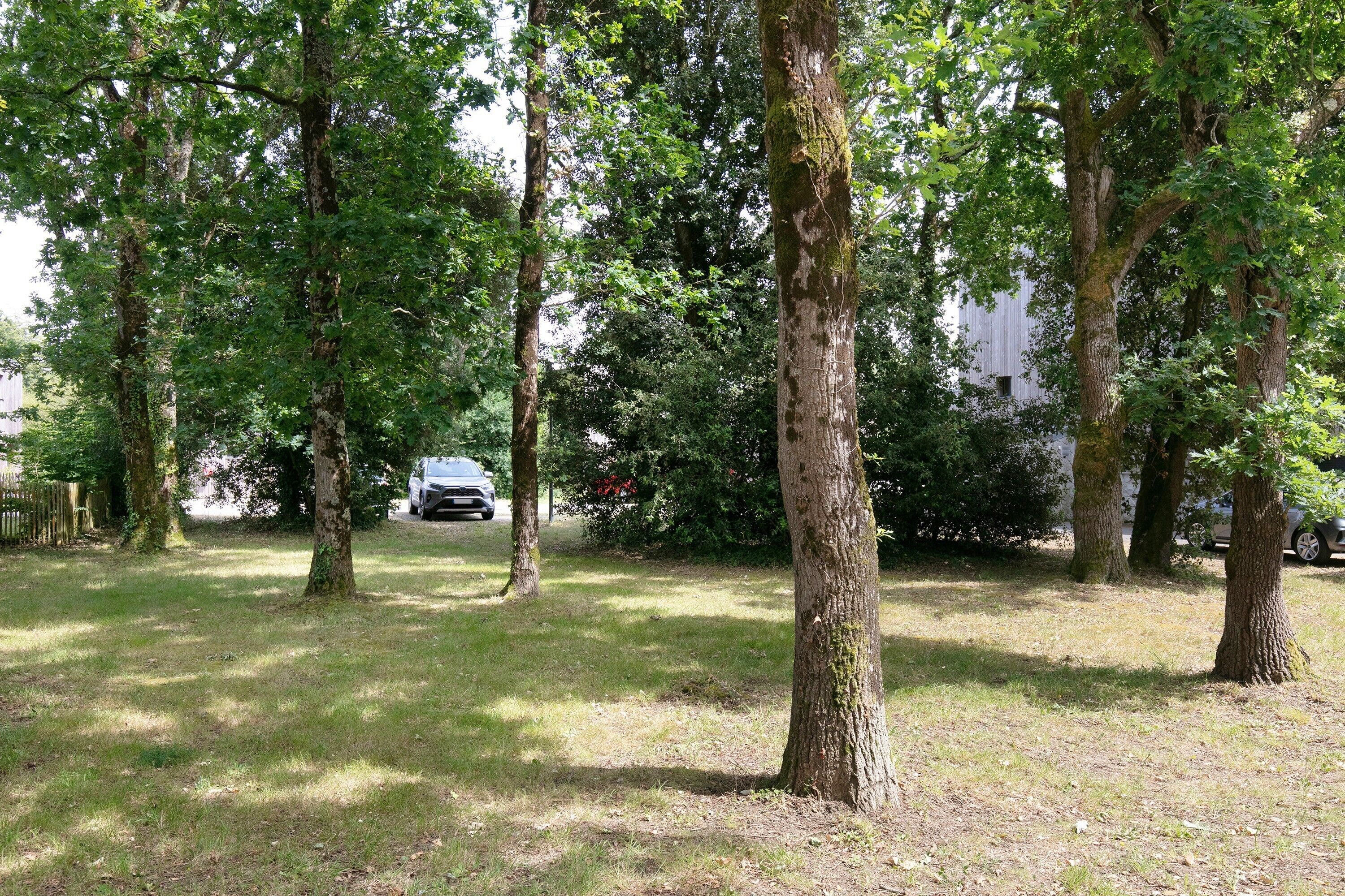 Un parque con árboles altos y un edificio blanco al fondo.