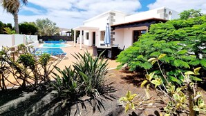 A modern house with a swimming pool, patio furniture, and lush greenery.